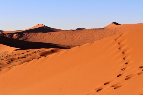 Namibia Euphemia Albenga